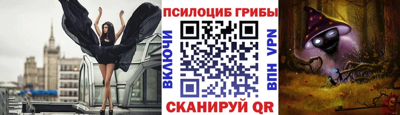 Галлюциногенные грибы Cubensis  OMG ONION  Богородск 
